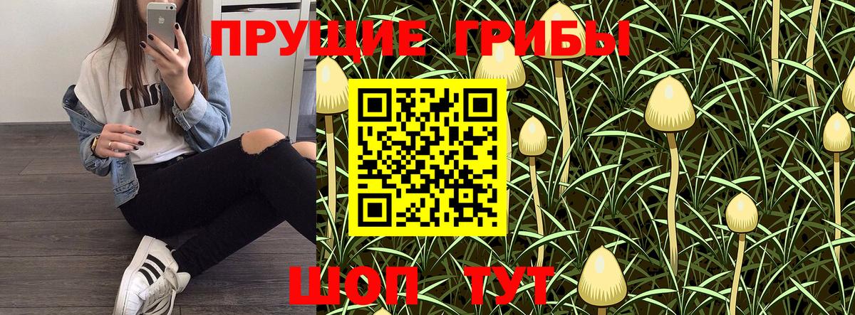 Псилоцибиновые грибы Cubensis  Вход с VPN  Ефремов 